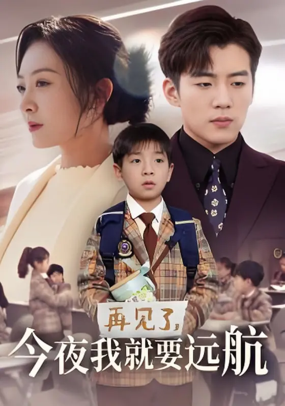 《再见了今夜我就要远航》：离别之歌与冒险征程的感人故事，唤醒内心的航海梦想